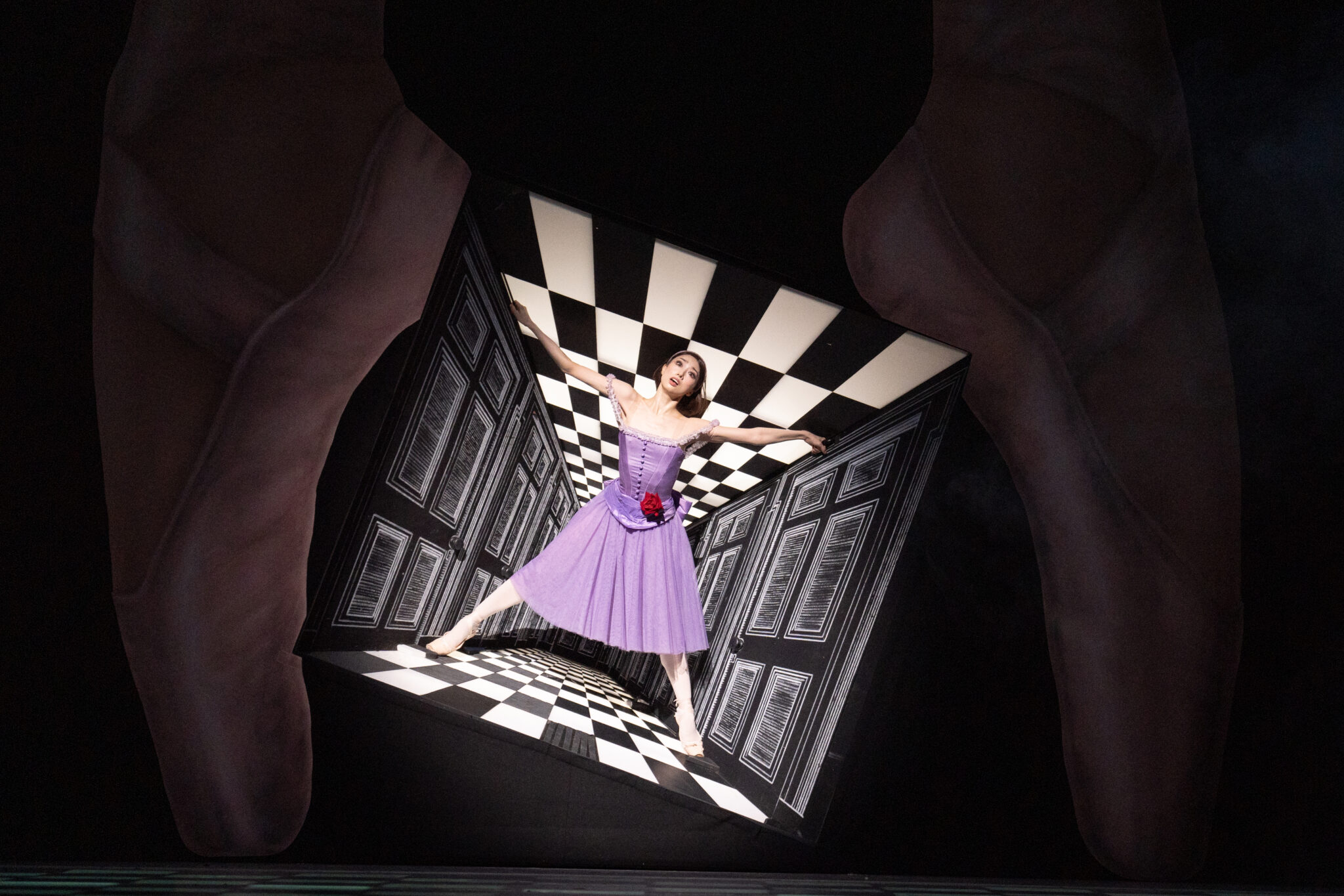 バレエ衣装「不思議の国のアリス」 アリスA バレエ衣装 不思議の国 アリス セット 変更しました！